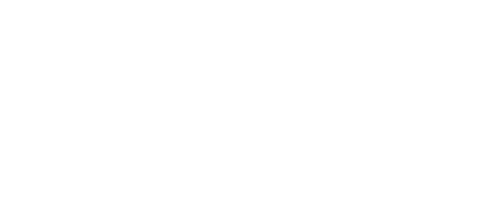 ROMART since 2002